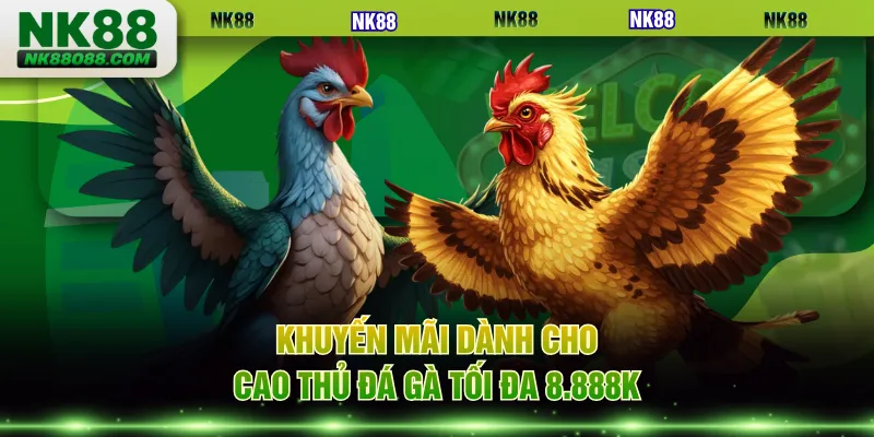 Khuyến mãi dành cho cao thủ đá gà tối đa 8.888K
